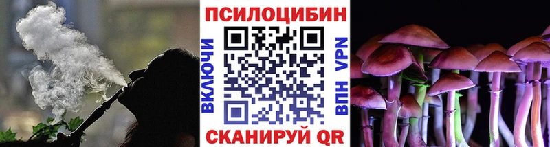 Купить закладки  Муравленко  Псилоцибиновые грибы Magic Shrooms 